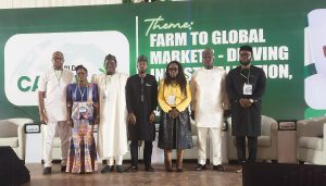 Representative of FMN Agro, Panelists and Federal Government Representatives at the World Cassava Day 2025