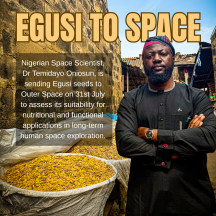 Nigerian Space Scientist, Dr Temidayo Oniosun on Egusi seeds to space project