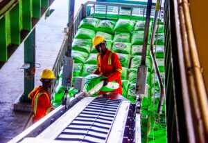 Dangote Fertiliser Limited (DFL) 