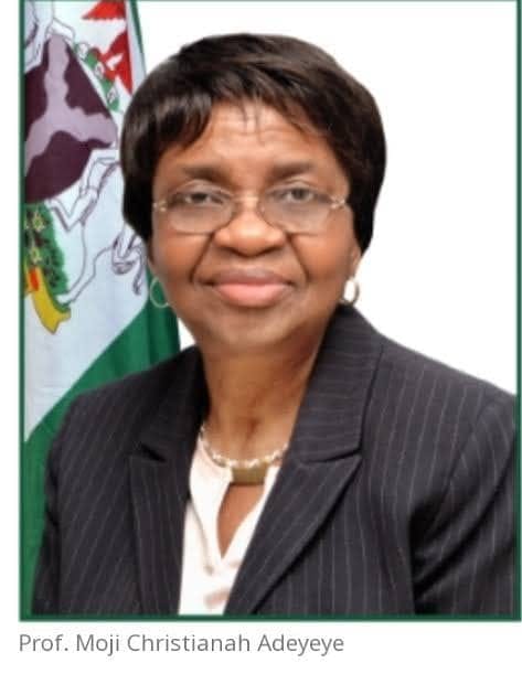 Prof Mojisola Christianah Adeyeye Director-General, NAFDAC